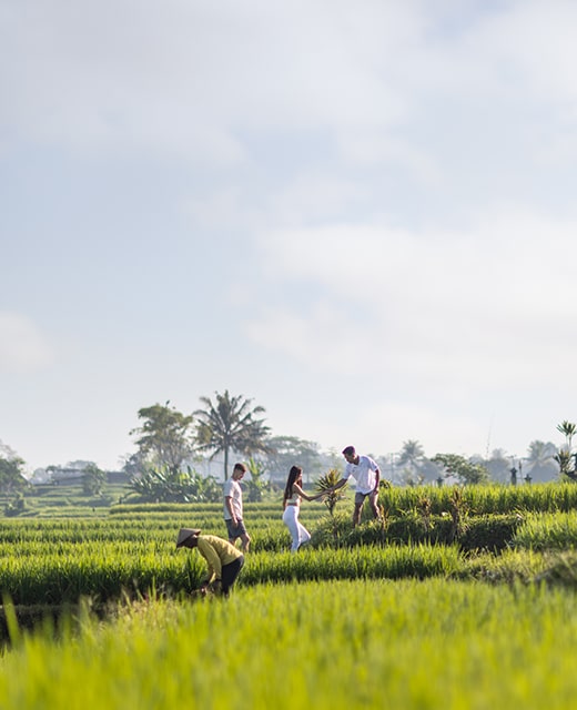 2026 Early Privilage Offer