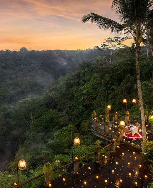 2026 Early Privilage Offer