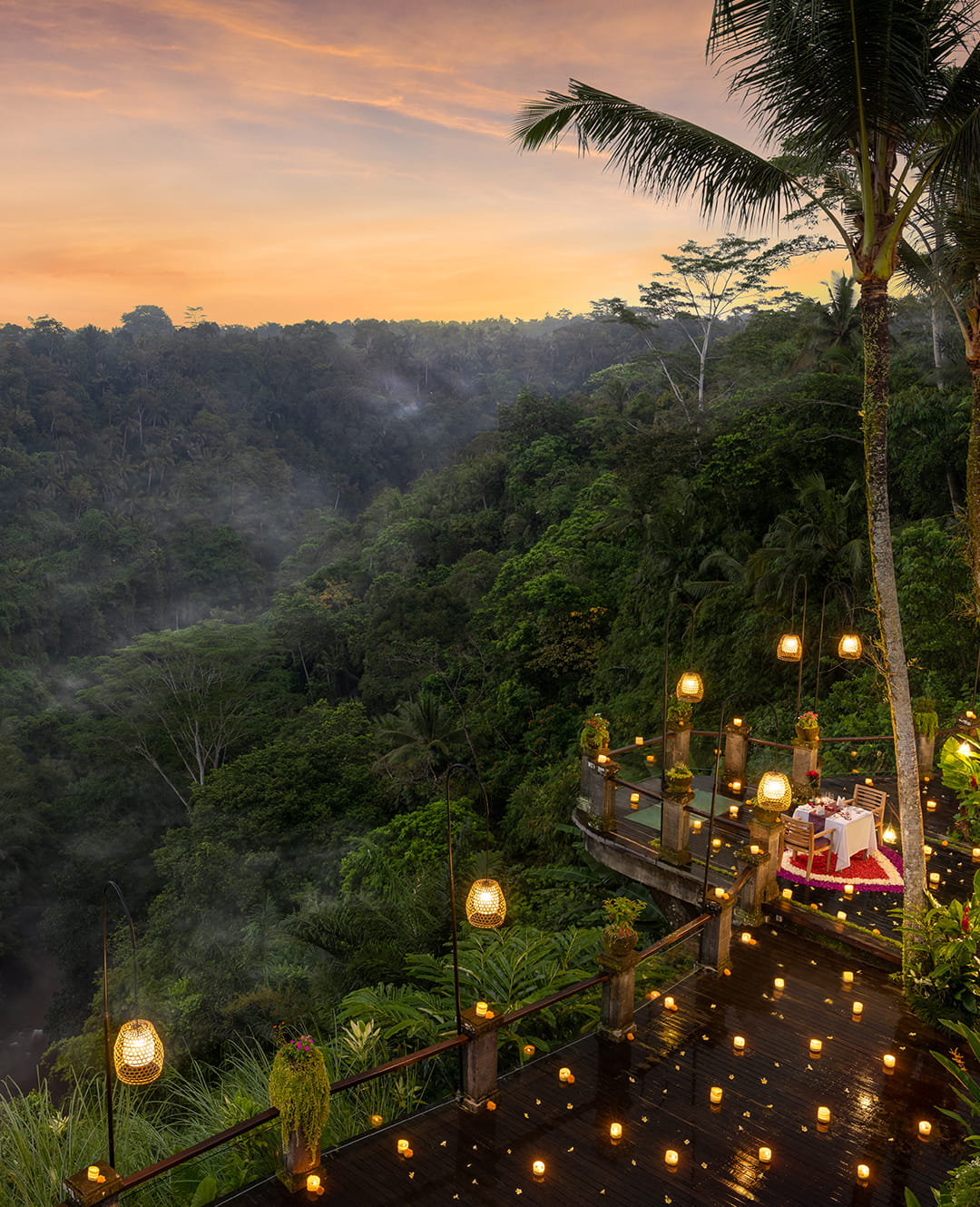 2026 Early Privilege Offer