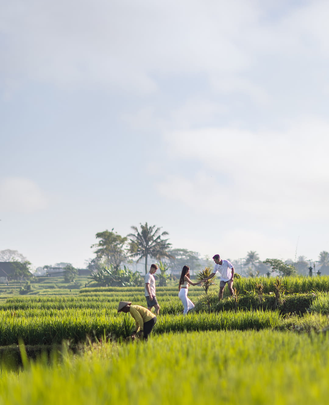 Book Advance, Save More!